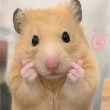 Profile image of 미이