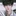 태정하