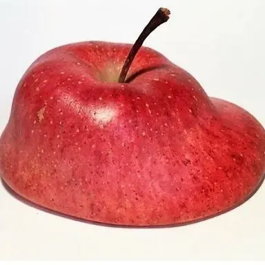 Profile image of Yulha