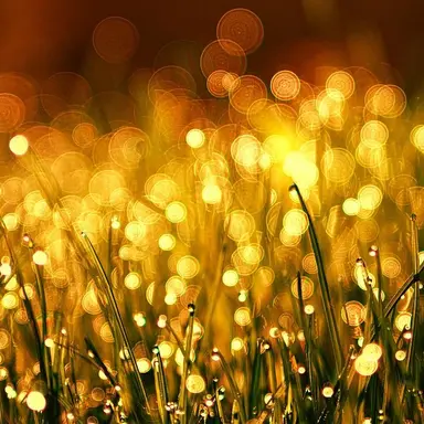 Profile image of 카이론