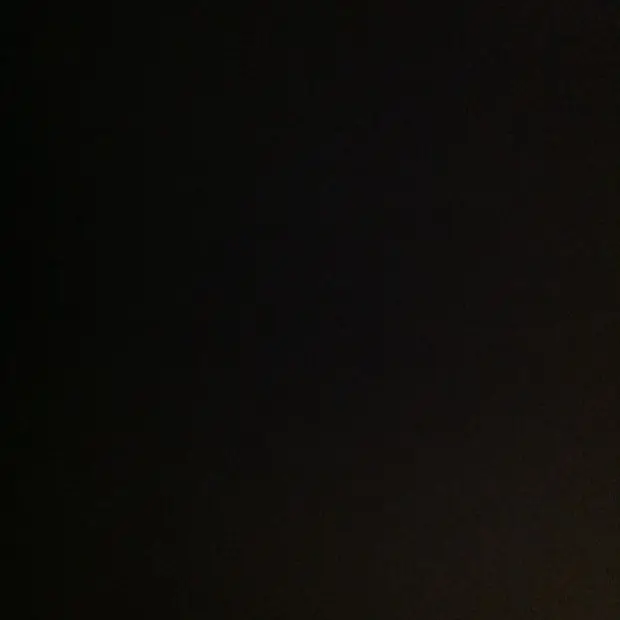 LovelyLion7630의 쌍둥이