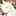 쿠와카미 카호