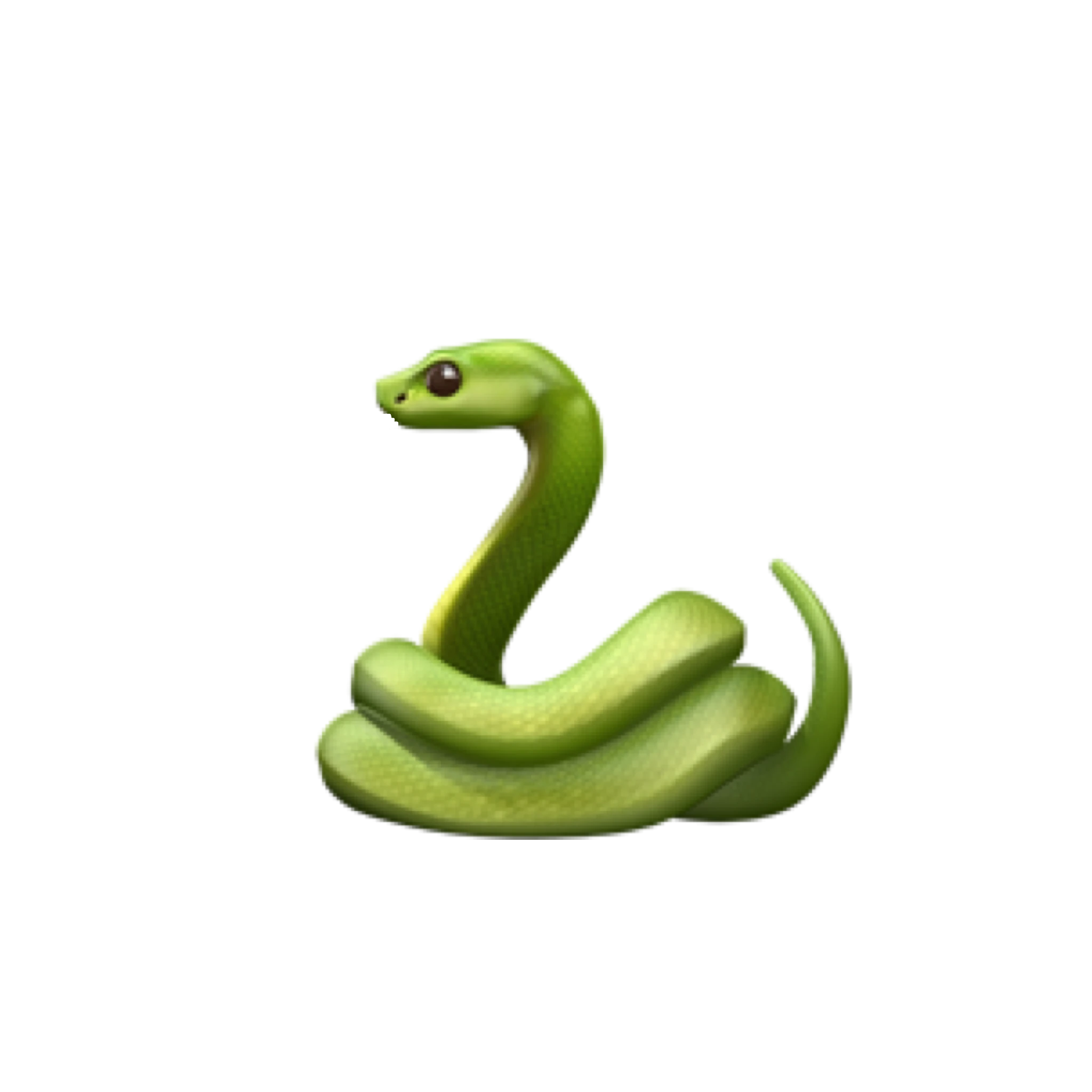뱀