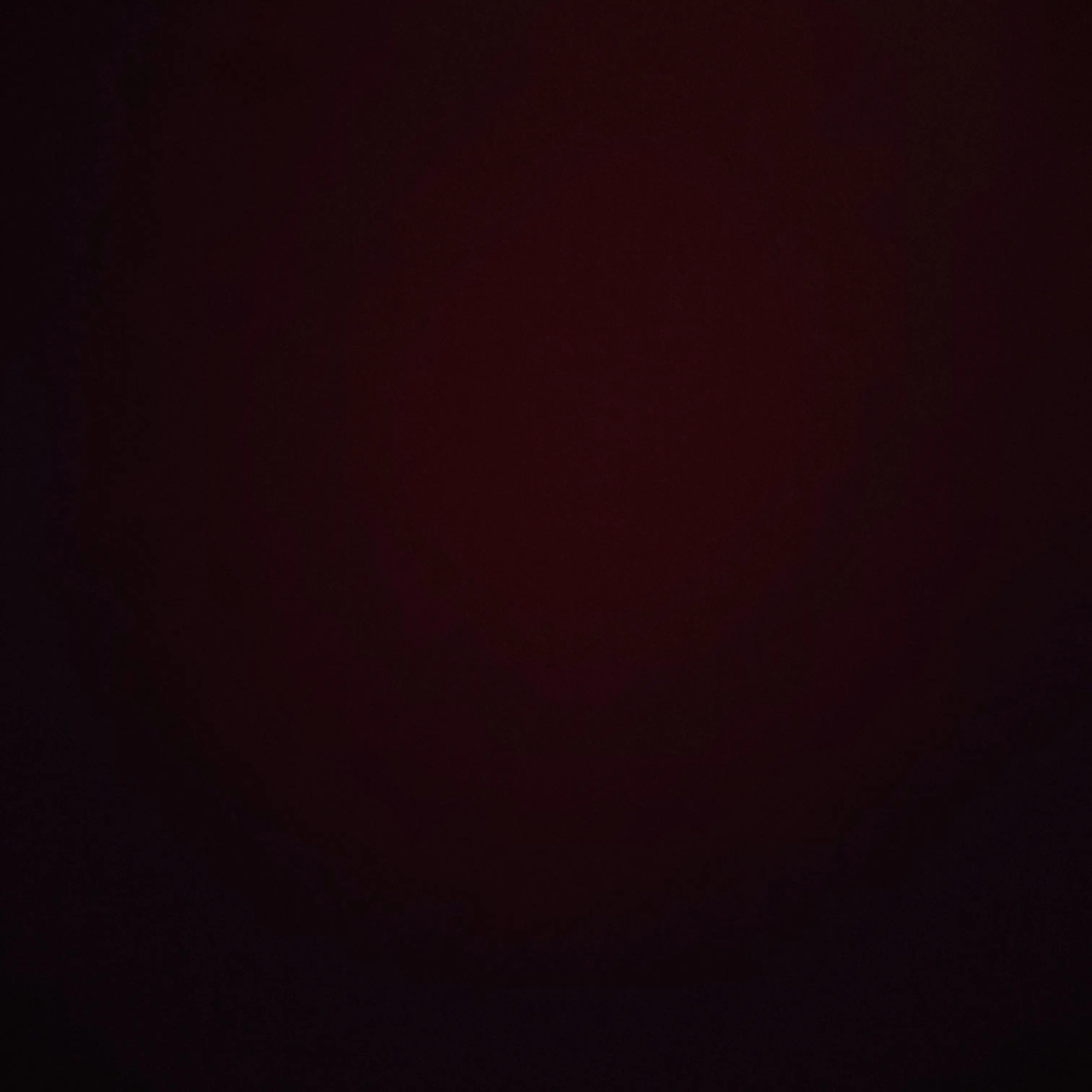 WornMist4024의 조직