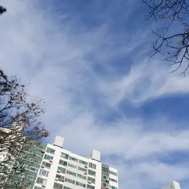 Profile image of 잠뜰