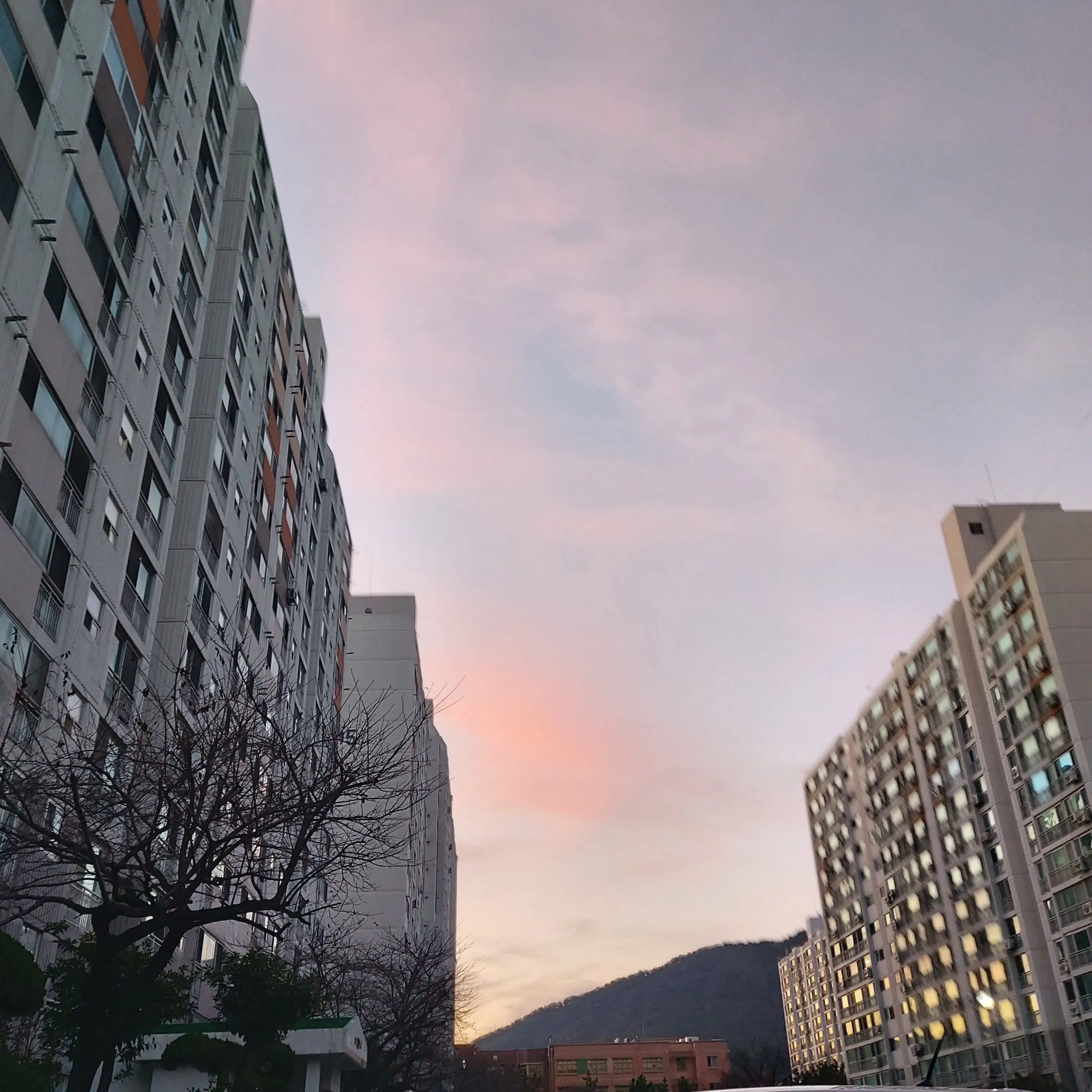 milkysha의 뜰팁 몬스터(인외)보육원