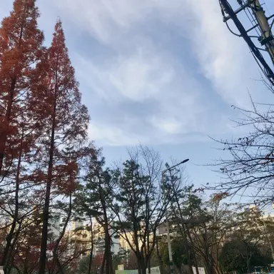 Profile image of 수현