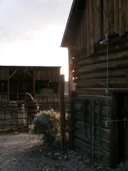 Profile image of Wyatt