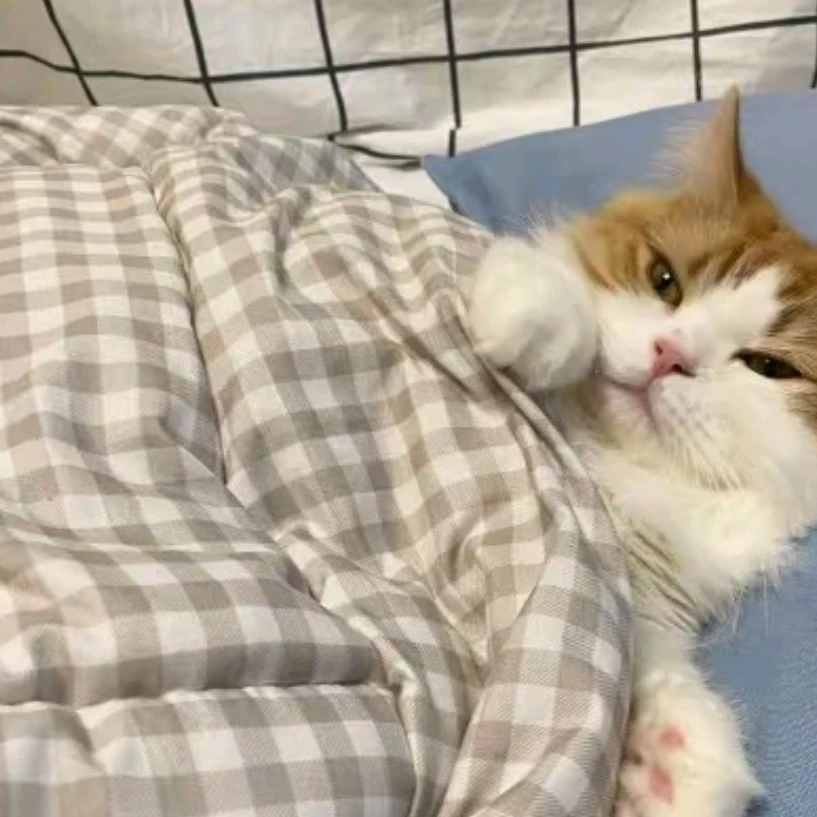 선아