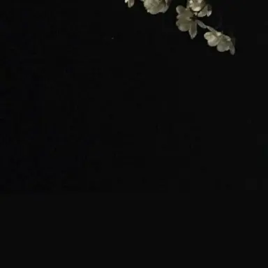 Profile image of 로베