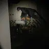 Profile image of Velociraptor
