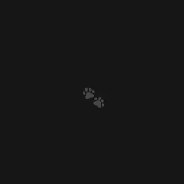 Profile image of ソゴン