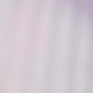 이수호