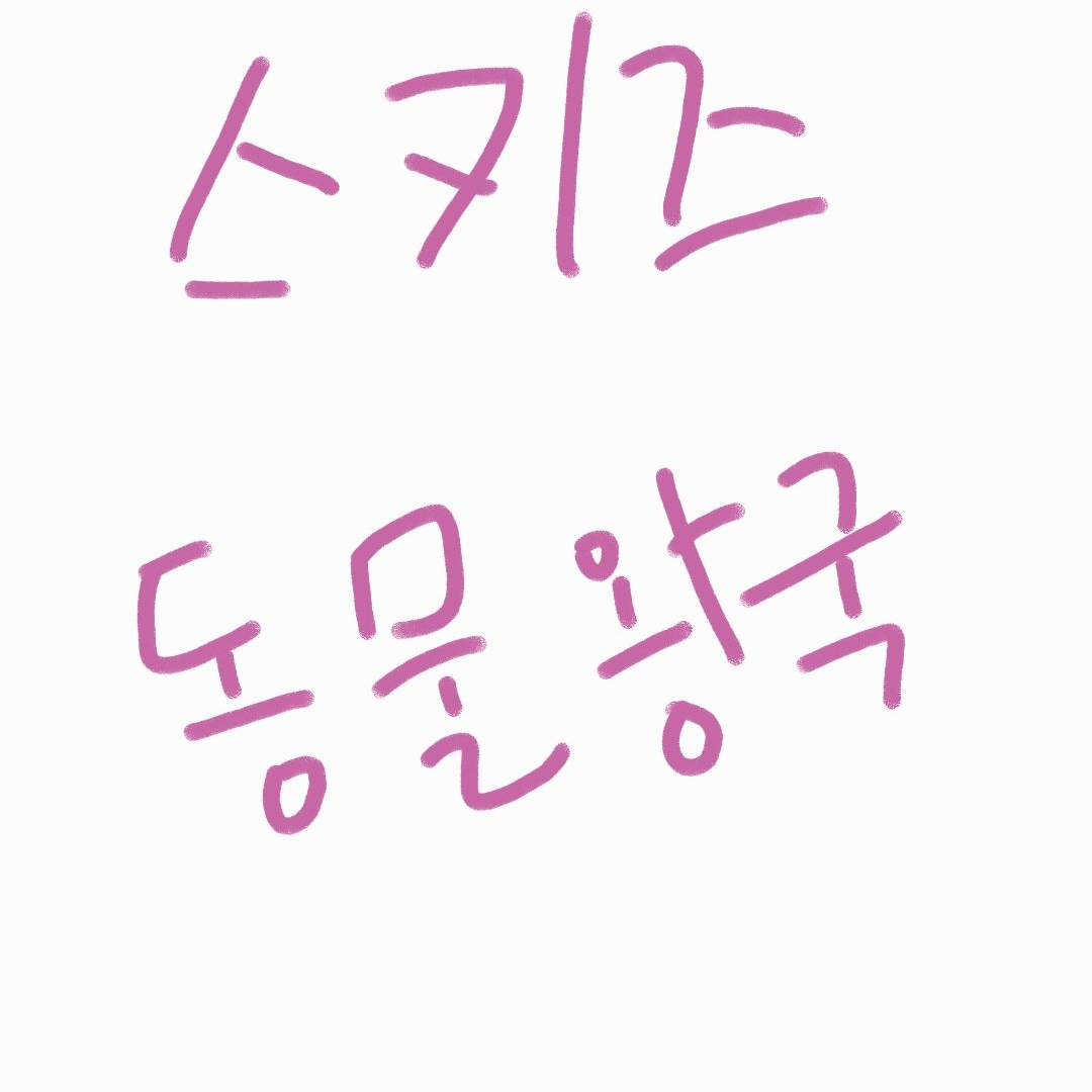 스키즈 대표 이미지