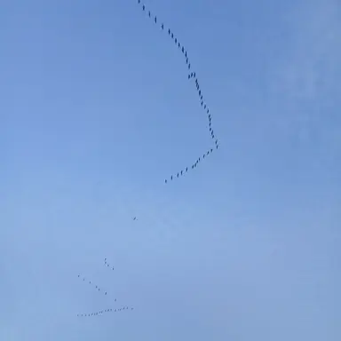 Profile image of 잭