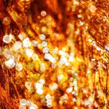 Profile image of アンバー