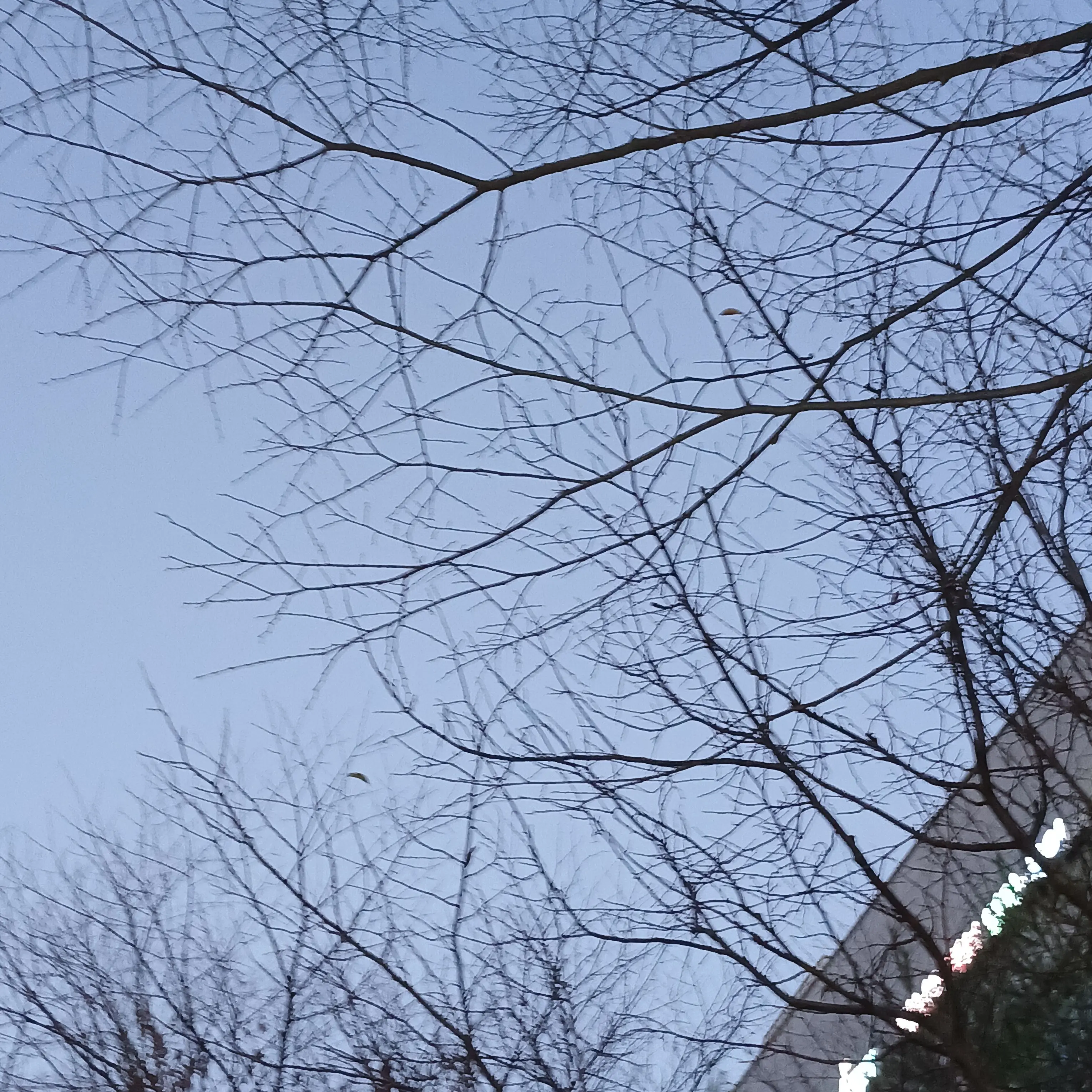 QuirkyTower3518의 팀나빠 MT