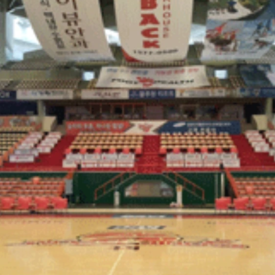 대회