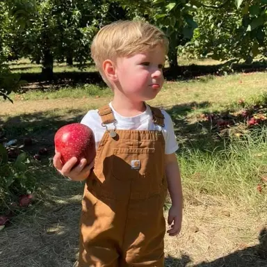 Profile image of Noah