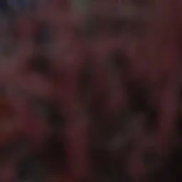 Profile image of 드라큘라- 김준수