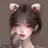 하채니
