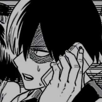 Profile image of Shoto Todoroki