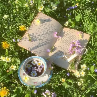 Profile image of 덕개