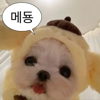 Profile image of 네레이터