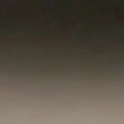 Profile image of 한세진