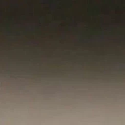 한세진
