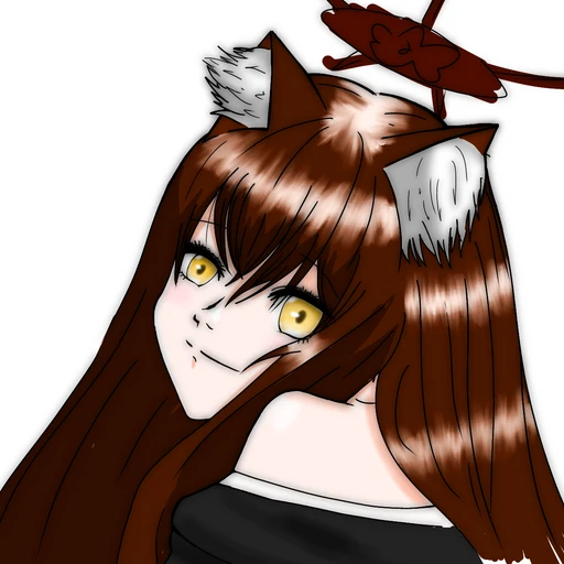 코사카 와카모