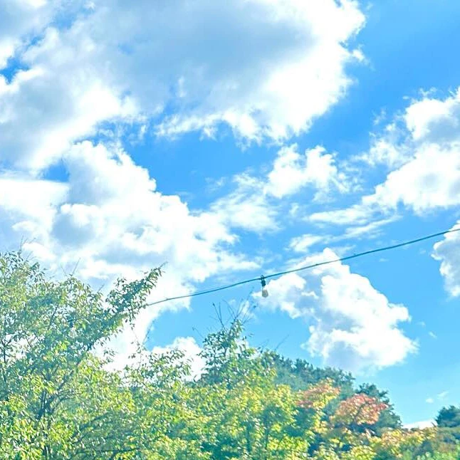 김동현