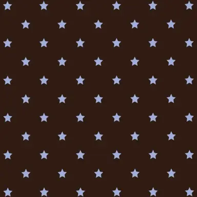 Profile image of 星導ショウ