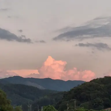 Profile image of 이자현