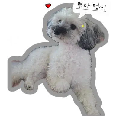 Profile image of 수현