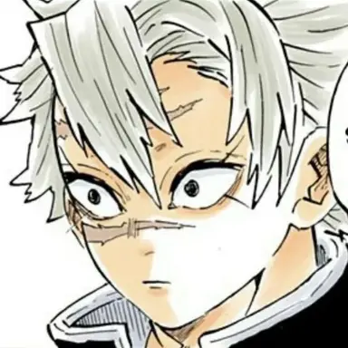 Profile image of 시나즈가와 사네미