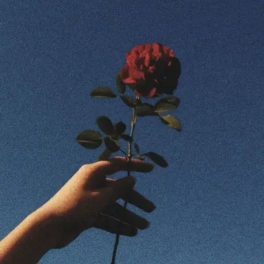 Profile image of 권지용