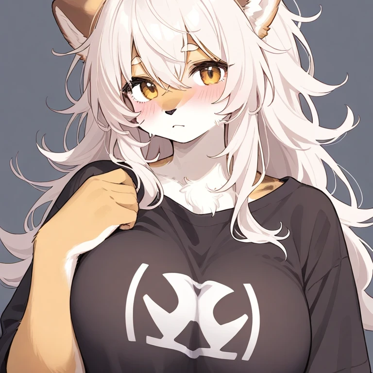 鏡廊 ヤマ