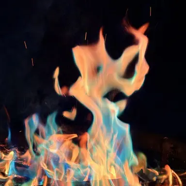 Profile image of 카나분