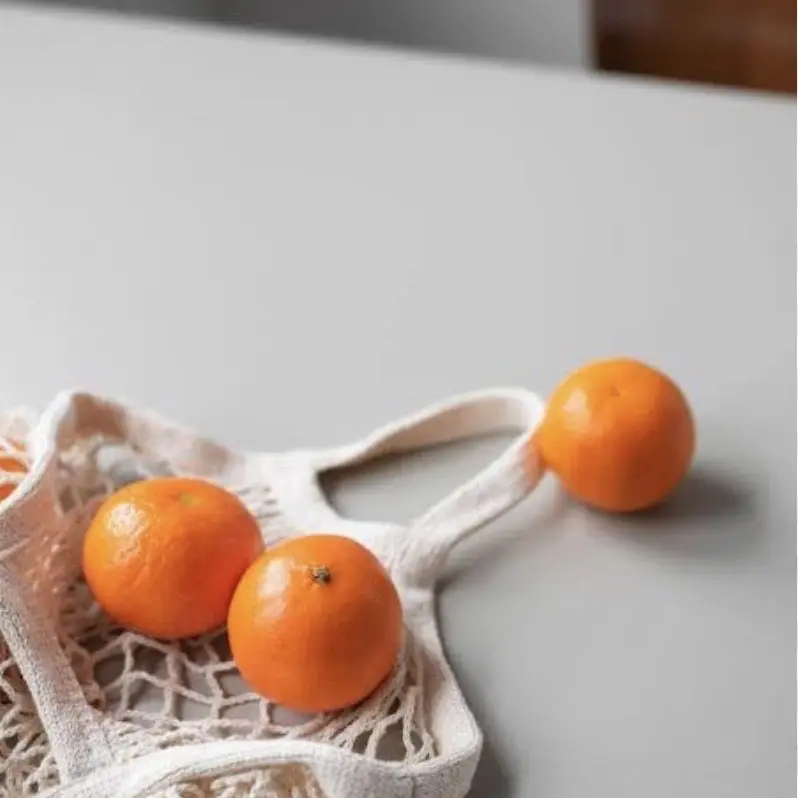 SheerBarb5433의 아포칼립스