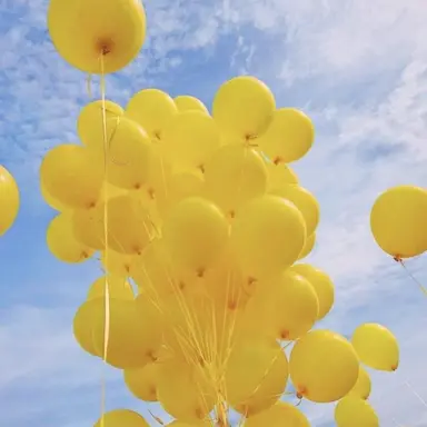 Profile image of 쪼만