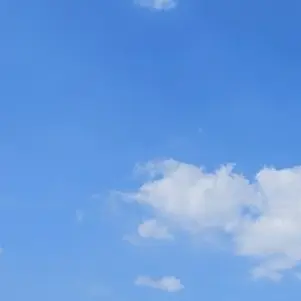 Profile image of 잠뜰