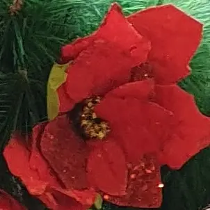 Profile image of 라더