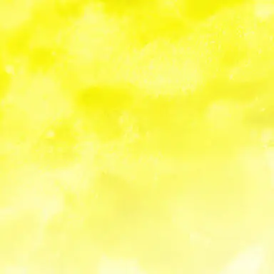 Profile image of こーた