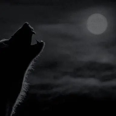 Profile image of 리무스 루핀