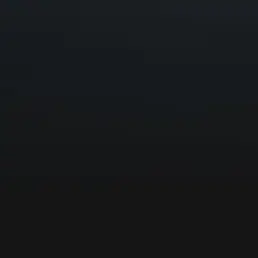 RIAE의 해금요원