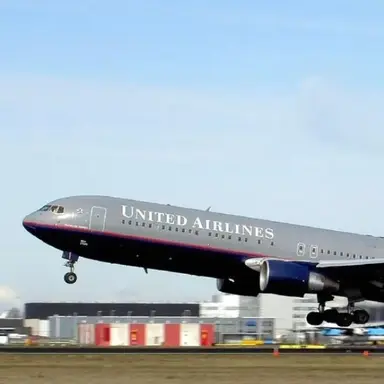 Profile image of 료미