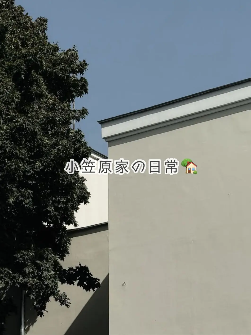 omochimaru25의 小笠原家の日常🏡