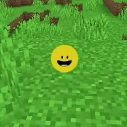 Profile image of Verity