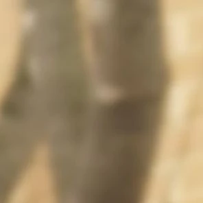 최현지♡